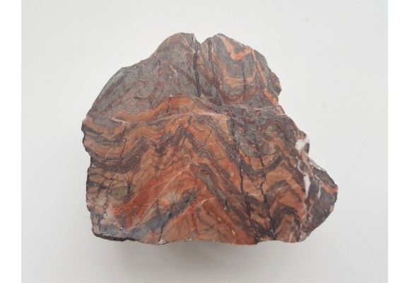 Czerwony wapień z pięknymi fałdami z Jarkowic k. Kowar