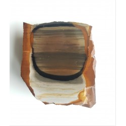 Limnokwarcyt pejzażowy