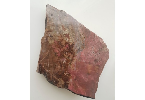 Polerowany okaz rodonitu z Iacobeni w Rumunii