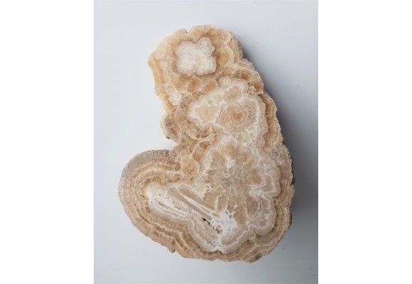 Polerowana polewa jaskiniowa z Raciszyna