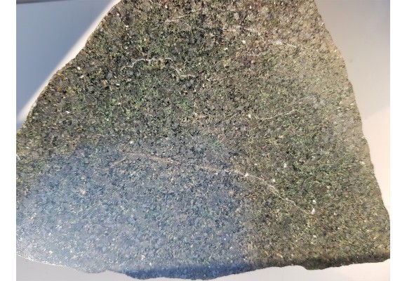 Polerowany doleryt z olistostromy Jędrzychowic