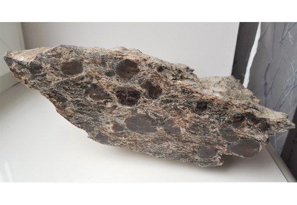 Polerowany łupek z wielkimi granatami