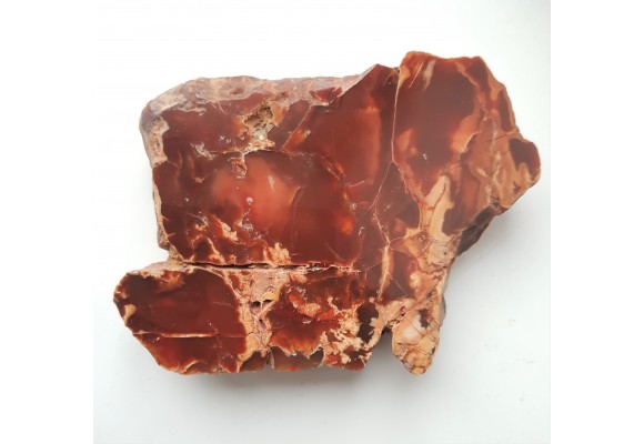 Karneol-sard z aluwiów Nysy Kłodzkiej k. Paczkowa