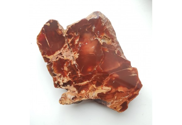 Karneol-sard z aluwiów Nysy Kłodzkiej k. Paczkowa