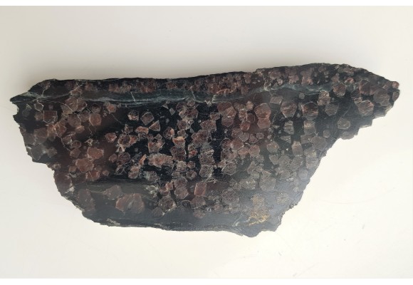 Polerowany okaz granatów w łupku