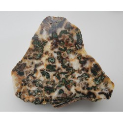 Intensywnie zielony jaspis w białym chalcedonie z aluwiów Nysy Kłodzkiej