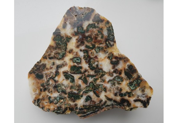 Intensywnie zielony jaspis w białym chalcedonie z aluwiów Nysy Kłodzkiej