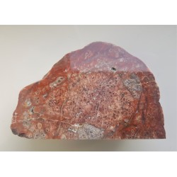 Niezwykły jaspiso-agat komórkowy z aluwiów Nysy Kłodzkiej