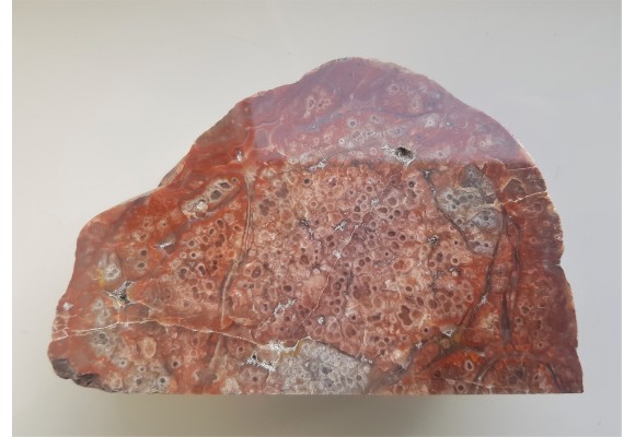 Niezwykły jaspiso-agat komórkowy z aluwiów Nysy Kłodzkiej