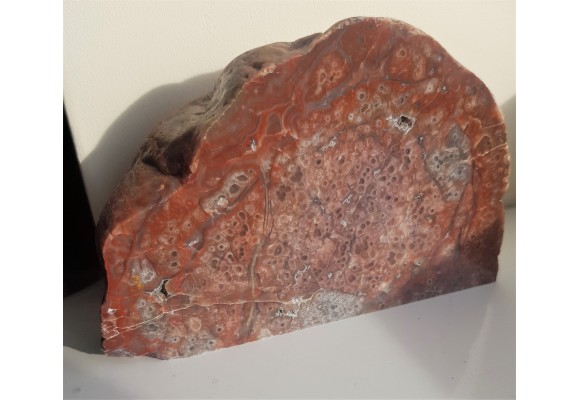 Niezwykły jaspiso-agat komórkowy z aluwiów Nysy Kłodzkiej