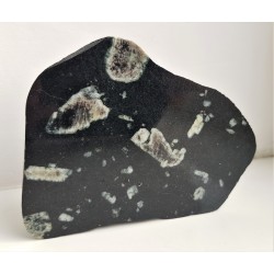 Porfirowaty diabaz, eratyk, pobrzeże Bałtyku