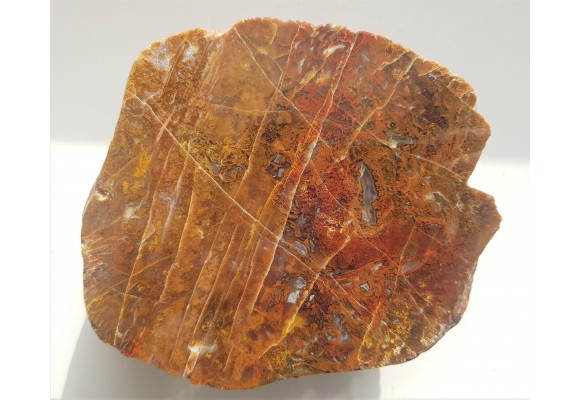 Agat mszysty z aluwiów Nysy Kłodzkiej