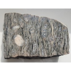 Piękny, wyrazisty gnejs oczkowy z Kowar