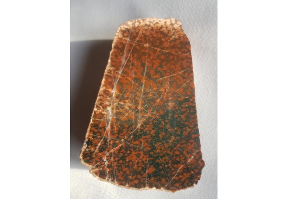 Adinol ze zlepieńców kulmu okolic Kamiennej Góry