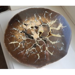 Okazały sferosyderyt, septaria z Częstochowy