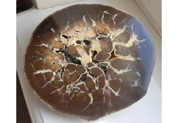 Okazały sferosyderyt, septaria z Częstochowy