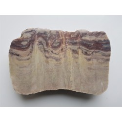 Piaskowiec kambryjski z Monocraterion z Pomorza