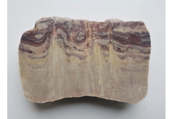 Piaskowiec kambryjski z Monocraterion z Pomorza