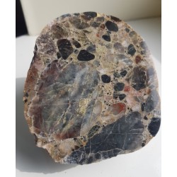 Ozdobny zlepieniec z Pilc