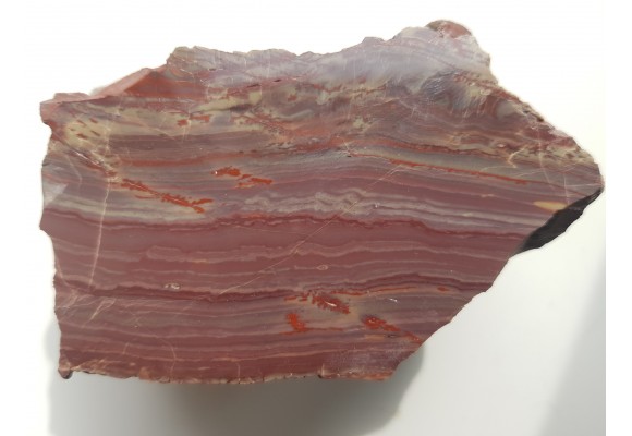 Jaspis z aluwiów Nysy Kłodzkiej