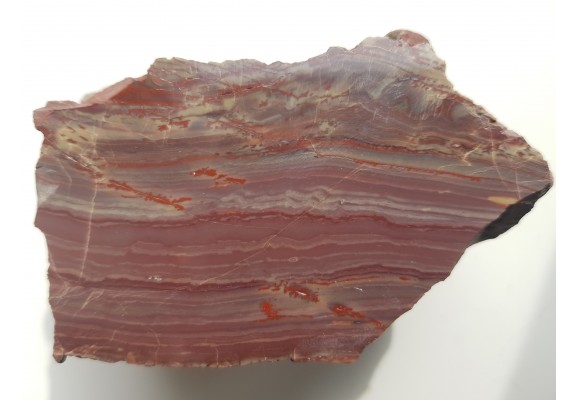 Jaspis z aluwiów Nysy Kłodzkiej