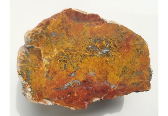 Barwny jaspiso-agat z aluwiów Nysy Kłodzkiej