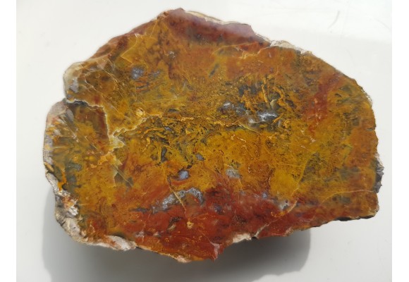 Barwny jaspiso-agat z aluwiów Nysy Kłodzkiej