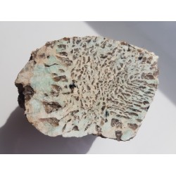 Amazonitowy granit napisowy z Bukowca k. J. Góry