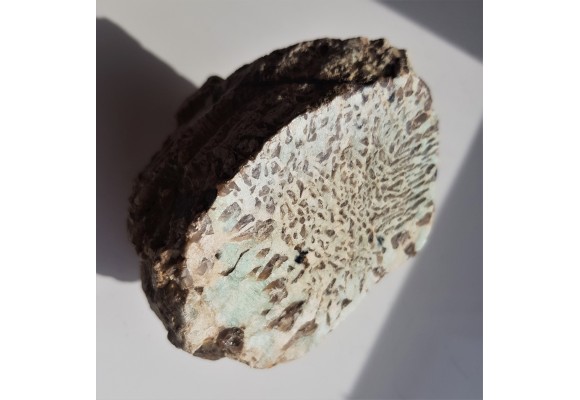 Amazonitowy granit napisowy z Bukowca k. J. Góry