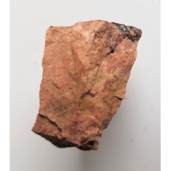 Fergusonit ze Skalnej Bramy k. Szklarskiej Poręby