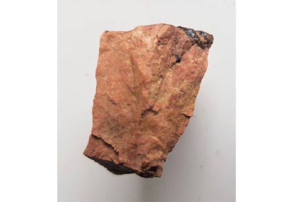 Fergusonit ze Skalnej Bramy k. Szklarskiej Poręby