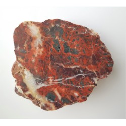 Jaspis koralowy z Pilc