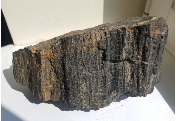 Drewno skrzemieniałe z historycznej lokalizacji z okolic Nowej Rudy