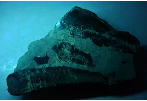 Szelit w kwarcu w amfibolicie piroksenowym z Droszkowa k. Jaszkowej Górnej