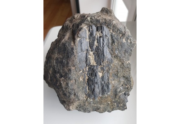 Wielki kryształ piroksenu w noduli z serpentynitów z Gór Sowich