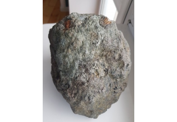 Wielki kryształ piroksenu w noduli z serpentynitów z Gór Sowich