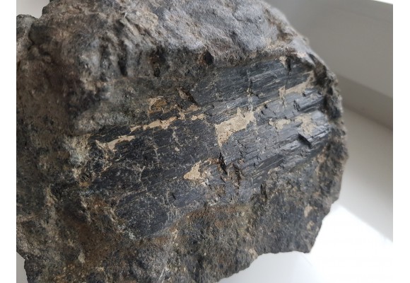 Wielki kryształ piroksenu w noduli z serpentynitów z Gór Sowich