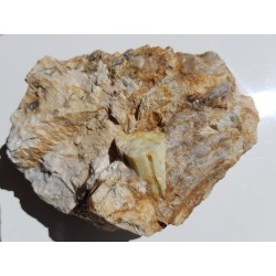 Masywny kryształ berylu w kwarcu z Owiesna