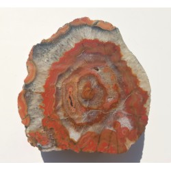 Agat "rzeczny" z Bobru w Sudetach (river agate)