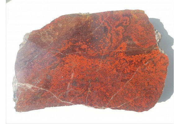 Jaspis koralowy, orbikularny z kulmu niecki śródsudeckiej