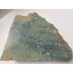 Erlan z Masywu Śnieżnika