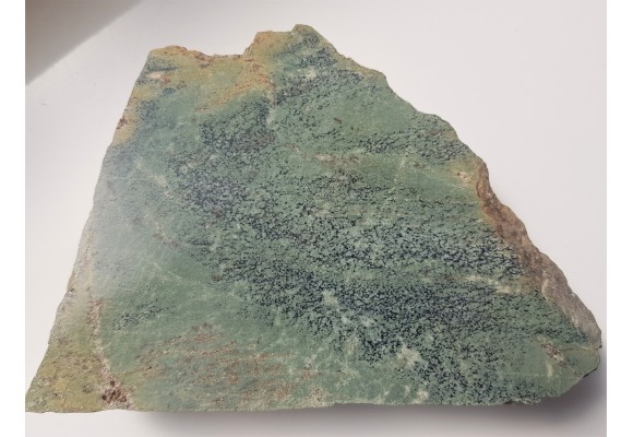 Erlan z Masywu Śnieżnika