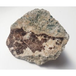 Okaz skarnu z wezuwianem z Podzamka k. Kłodzka