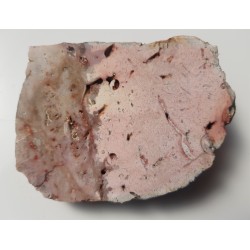 Różowa skała krzemionkowa ze skamieniałymi ślimakami z pobrzeża Bałtyku