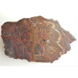 Brekcja jaspisowa z okolic Świerzawy