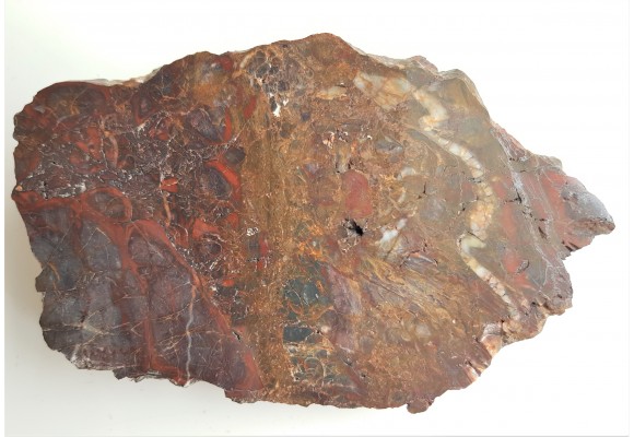 Brekcja jaspisowa z okolic Świerzawy