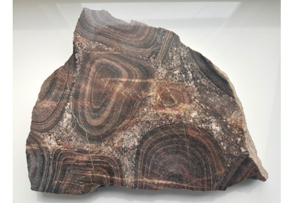 Granit orbikularny z Finlandii