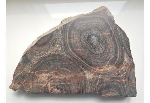 Granit orbikularny z Finlandii