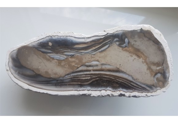 Doskonały okaz krzemienia z Raciszyna (Jura Wieluńska)