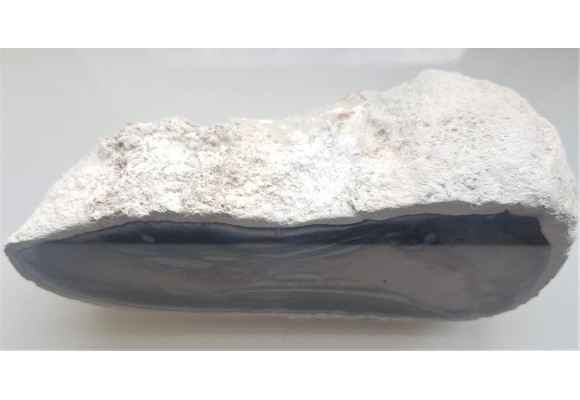 Doskonały okaz krzemienia z Raciszyna (Jura Wieluńska)